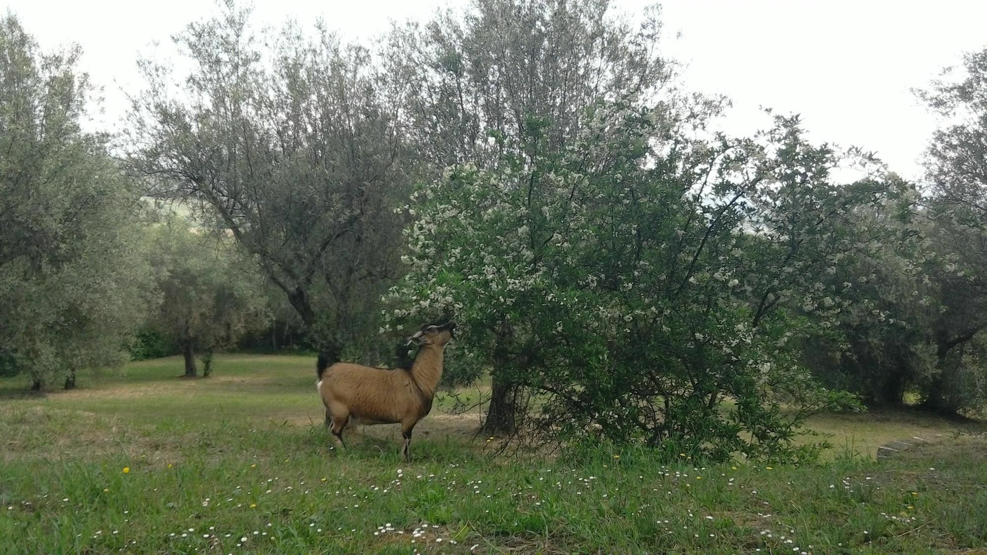 Chalet With One Bedroom In Perugia, With Wonderful Mountain View, Priv מראה חיצוני תמונה